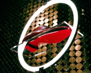 Évènement Loubicircus à Paris • Louboutin / Juin 2019